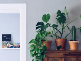 Minimalist Magic: A Contemporary Studio Apartment